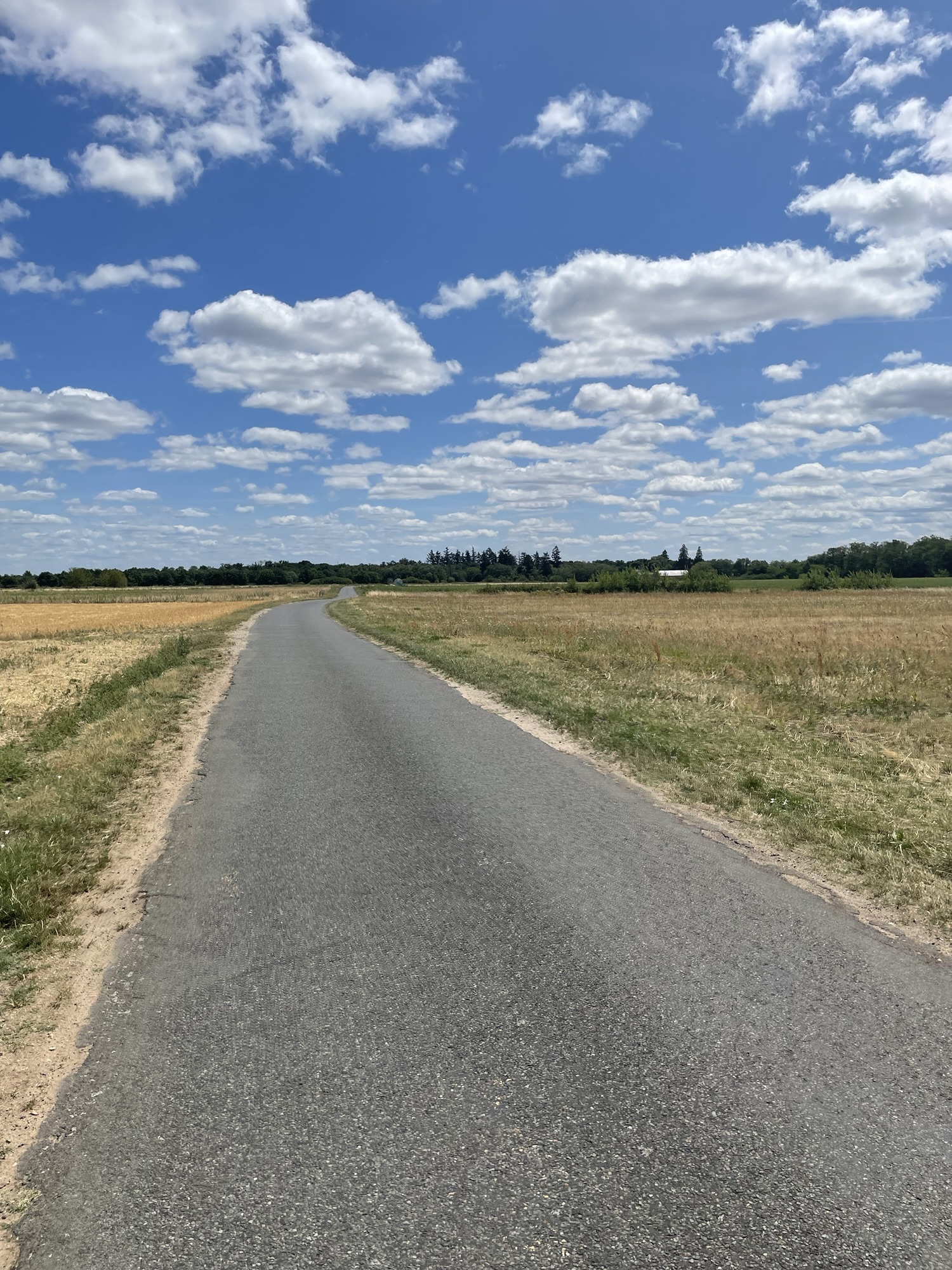 One Week to Go: A Tent, a Quest, and a Quiet Kind of Excitement