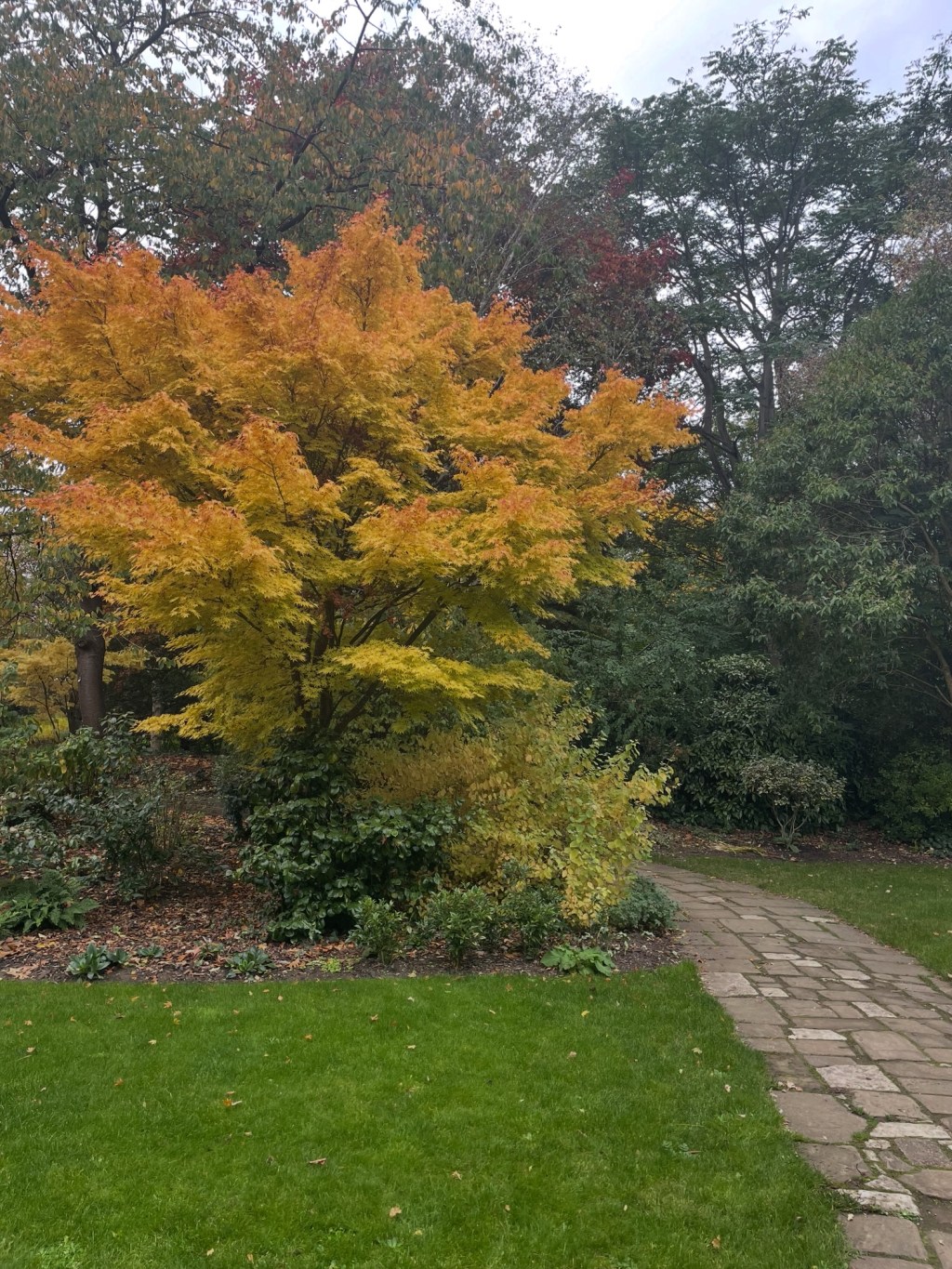 Falling in love with London – again and&nbsp;again